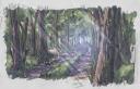 forest_colored.png