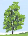 tree.webp