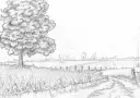 plains.webp
