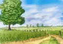 plains_colored.webp