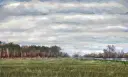overcast.webp