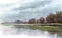 wetlands.webp