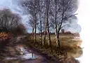 puddle.webp